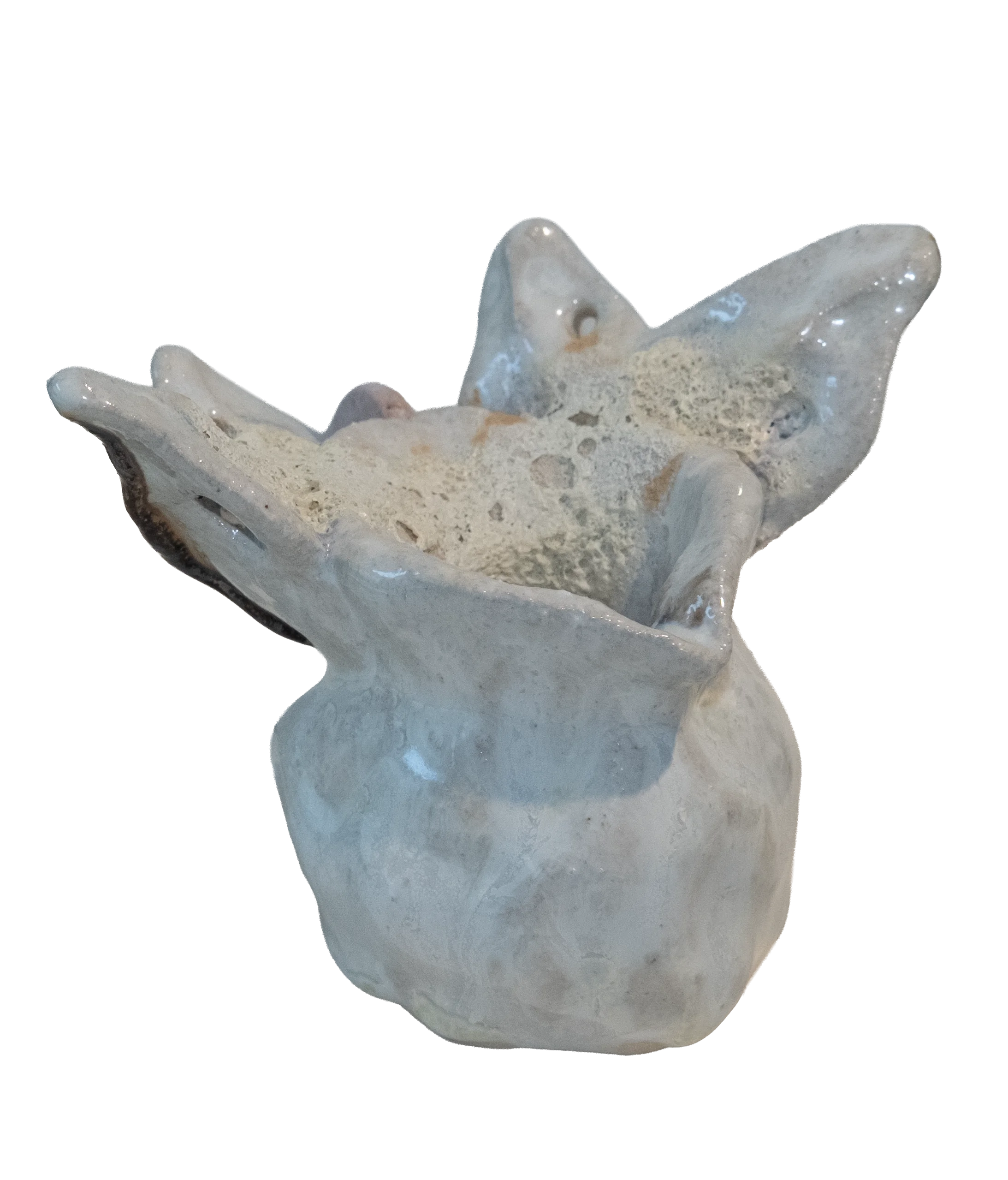Butterfly Cup